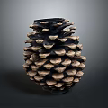 Pine Cone With Natural Scaly Brown Texture Isolated On Dark Background